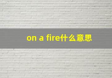 on a fire什么意思